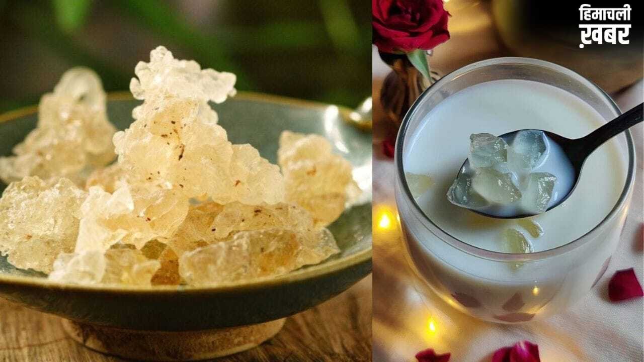 ड्रिंक ही नहीं इन 5 तरीकों से करें गोंद कतीरा का इस्तेमाल, मिलेगी गर्मी से राहत