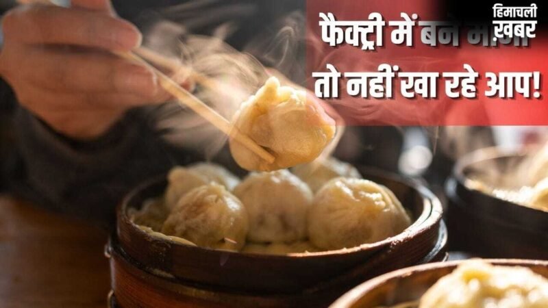 बाजार में बिक रहे मोमो फैक्ट्री में बने हैं या फ्रेश हैं…इन आसान तरीकों से पहचानें