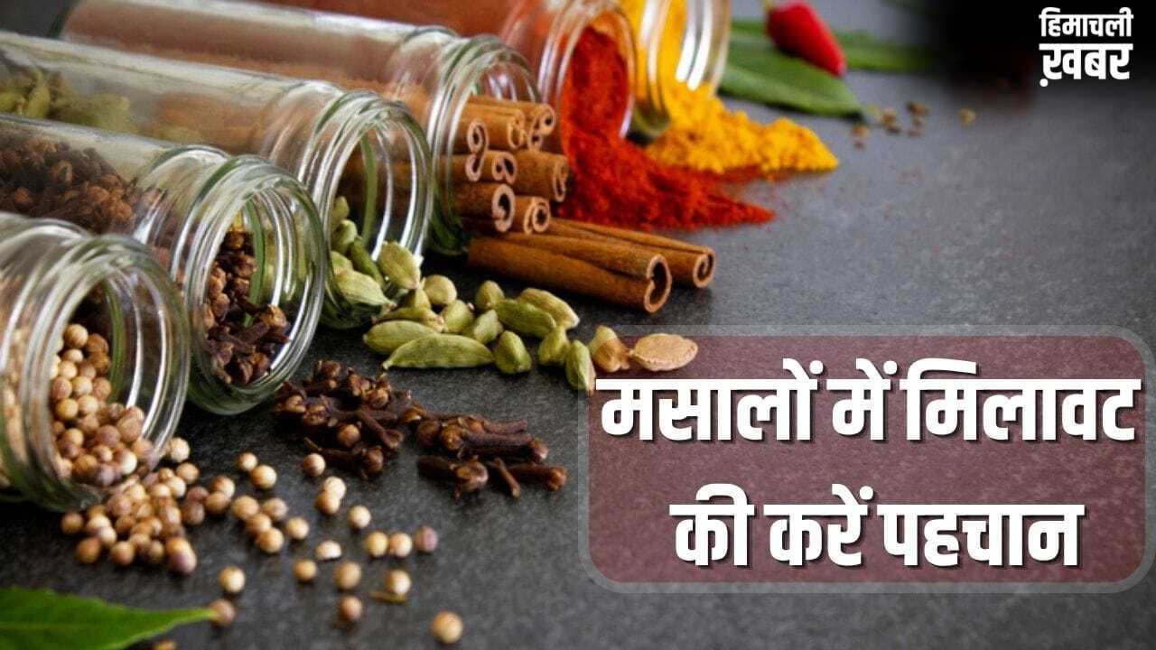 Spice Adulteration: हेल्दी रहना है तो रसोई से करें शुरुआत, धनिया से सेंधा नमक तक…ऐसे पकड़े मिलावट