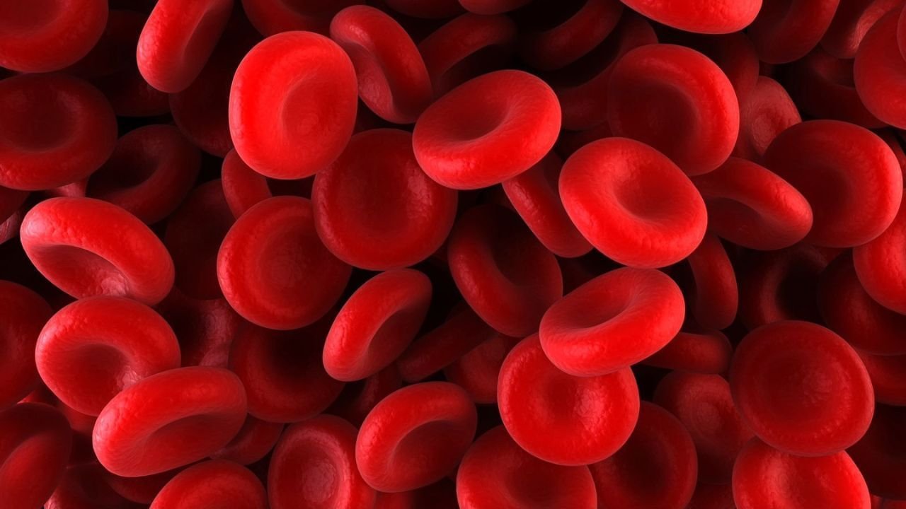 खून गाढ़ा है या पतला किस टेस्ट से चलता है पता? एक्सपर्ट से जानें