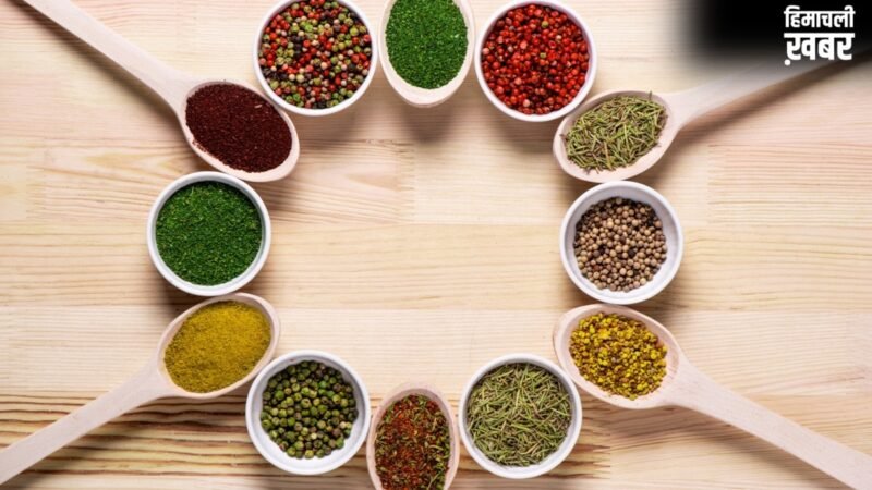 पेट की गर्मी और डिहाइड्रेशन दूर करने में ये मसाले हैं फायदेमंद, गर्मी से बचने के लिए डाइट में ज़रूर करें शामिल