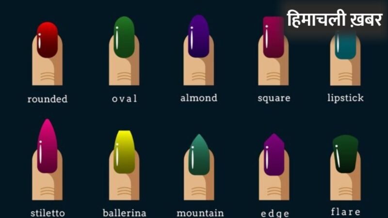 मोटी उंगलियों को पतला और लंबा दिखाने के लिए करें सही Nail Shapes का चुनाव, जानें कितनी तरह के होते हैं नेल शेप्स