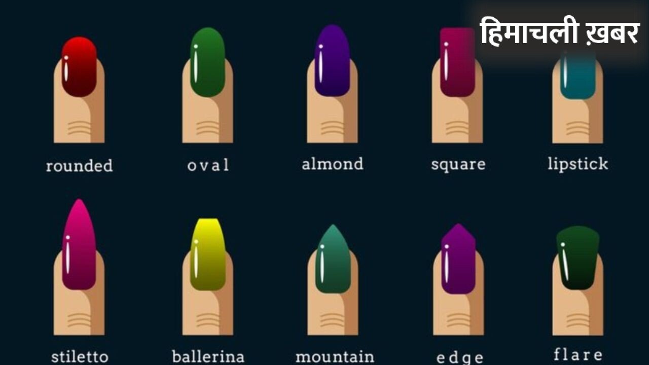 मोटी उंगलियों को पतला और लंबा दिखाने के लिए करें सही Nail Shapes का चुनाव, जानें कितनी तरह के होते हैं नेल शेप्स