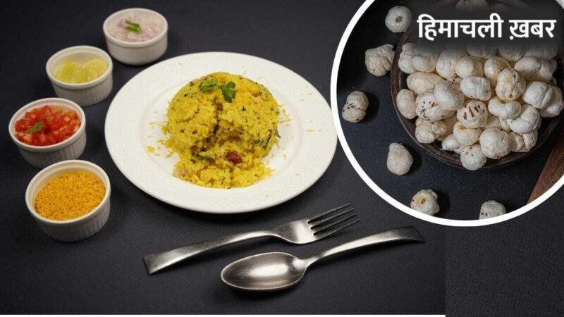 Hydrations Tips: मखाना से पोहा तक… वो हेल्दी चीजें जो शरीर का तेजी से सोखती हैं पानी!