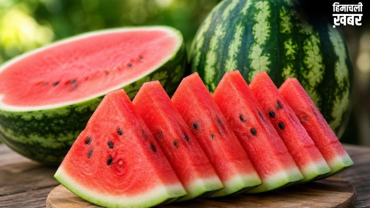 पानी से तर है तरबूज़, गर्मी में खाने के बाद इसका सेवन करने से क्या फूड प्वाइजनिंग और ब्लोटिंग हो सकती है, डॉक्टर से जानिए