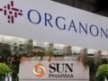 दवा बाजार में सन फार्मा का ऐतिहासिक कदम! ऑर्गनन के साथ की सबसे बड़ी डील, टूटे सभी पुराने रिकॉर्ड