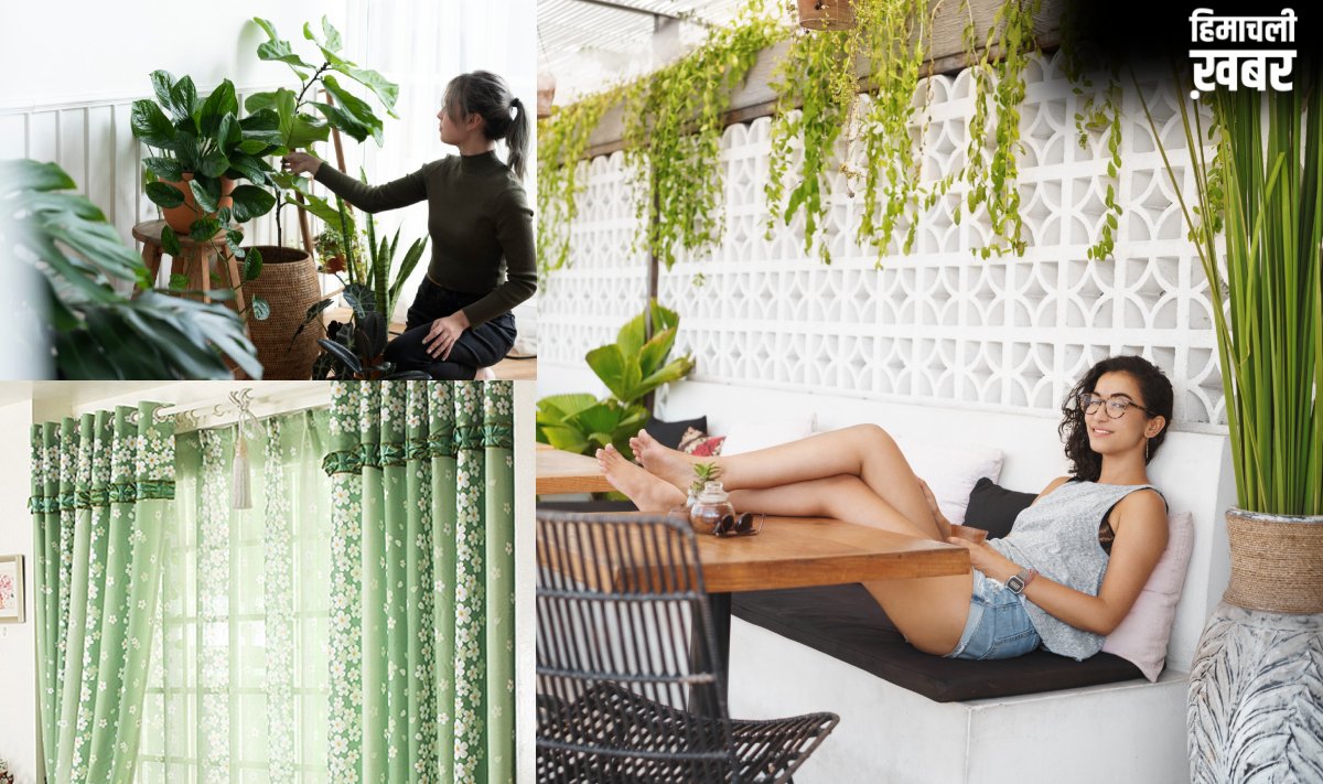 भट्टी की तरह तपने लगा है कमरा, ठंडा रखने के लिए करें ये आसान उपाय, नहीं पड़ेगी एसी कूलर की जरूरत