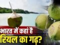 Coconut: न केरल, न तमिलनाडु, देश को सबसे ज्यादा नारियल देने वाला राज्य कौन सा? वियतनाम तक डिमांड