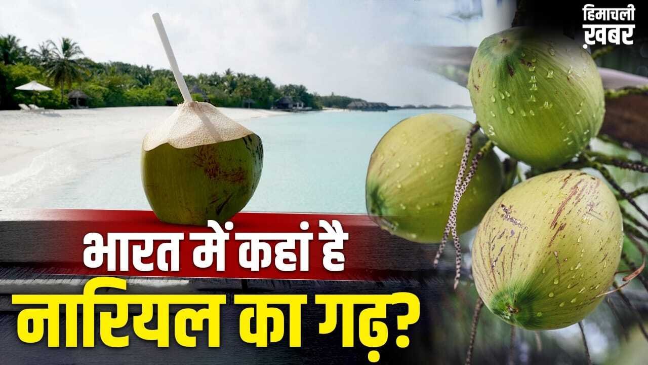 Coconut: न केरल, न तमिलनाडु, देश को सबसे ज्यादा नारियल देने वाला राज्य कौन सा? वियतनाम तक डिमांड
