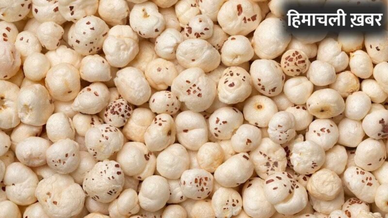 Makhana Dishes: पेट रहेगा ठंडा, गजब की फुर्ती…सिर्फ भूनकर नहीं गर्मी में इस तरह भी खाएं मखाना