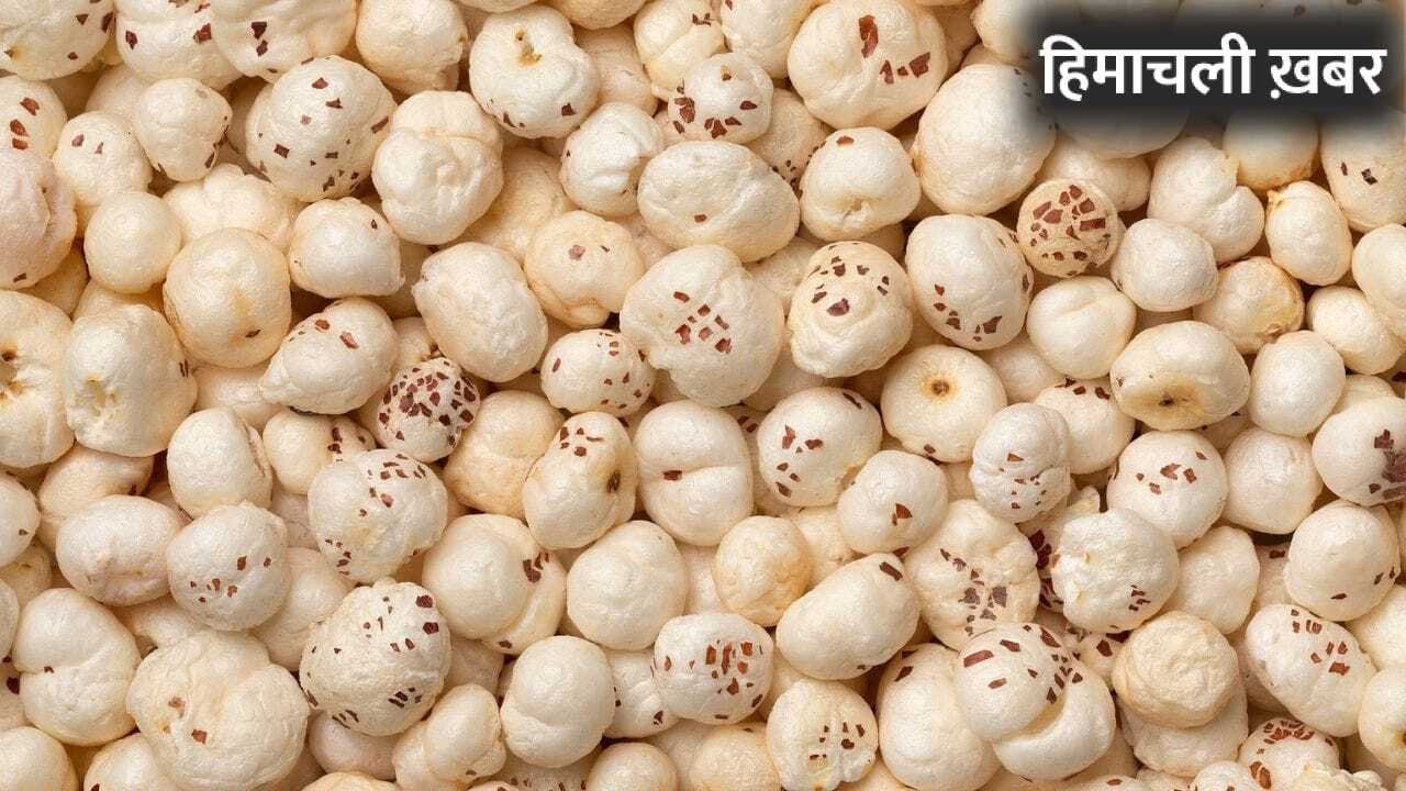 Makhana Dishes: पेट रहेगा ठंडा, गजब की फुर्ती…सिर्फ भूनकर नहीं गर्मी में इस तरह भी खाएं मखाना