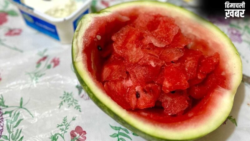 क्या तरबूज और बिरयानी खाने से हो सकती है मौत? क्या कहते हैं एक्सपर्ट्स