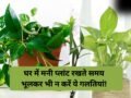 सावधान! मनी प्लांट से जुड़ी ये 3 गलतियां आपको बना सकती हैं कर्जदार, आज ही कर लें सुधार, जानें सही नियम​