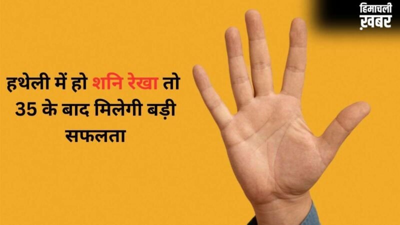 Shani Rekha: हथेली में कहां होती है शनि रेखा? हाथ में इसका होना 35 के बाद बड़ी सफलता का संकेत​