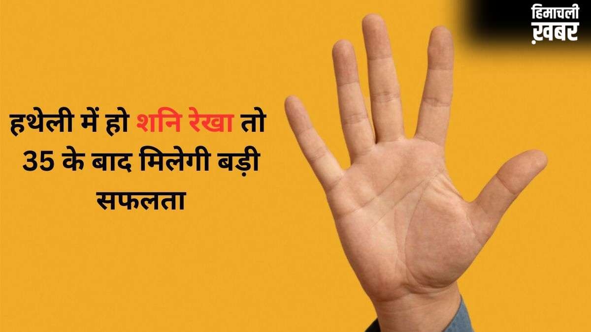 Shani Rekha: हथेली में कहां होती है शनि रेखा? हाथ में इसका होना 35 के बाद बड़ी सफलता का संकेत