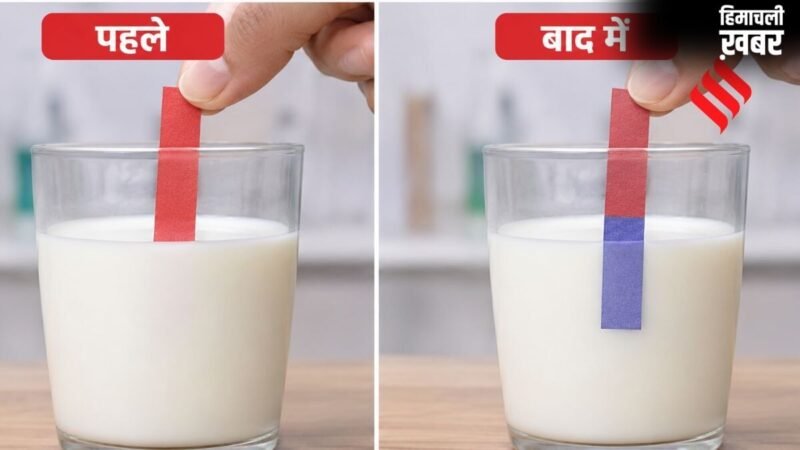 FASSI से जानें मिलावटी मिल्क की पहचान का आसान तरीका, 5 मिनट में पता करें दूध में यूरिया मिला है या नहीं​