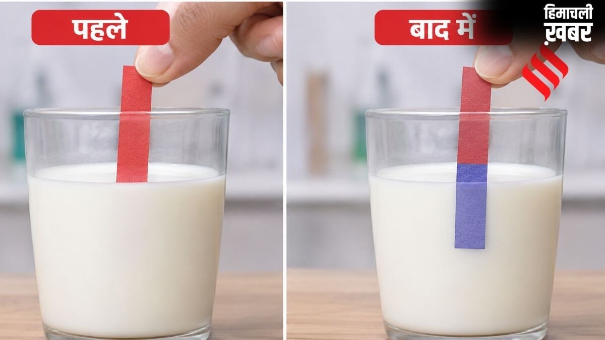 FASSI से जानें मिलावटी मिल्क की पहचान का आसान तरीका, 5 मिनट में पता करें दूध में यूरिया मिला है या नहीं