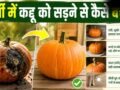 गर्मी में जल्दी गलकर कद्दू से आने लगती है बदबू, इस तरह रखें लंबे समय तक फ्रेश
