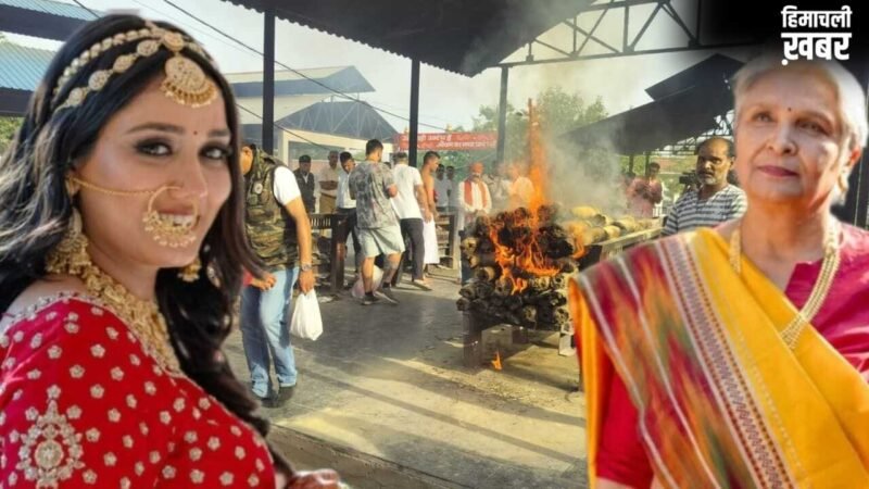 ट्विशा शर्मा केस की 500 पन्नों वाली डायरी खोलेगी कई राज, आज सास गिरिबाला की जमानत पर हाईकोर्ट में होगा फैसला​