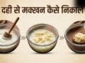 दही से मक्खन कैसे निकालें? बर्फ वाली ट्रिक से मिनटों में निकलेगा देसी Butter​
