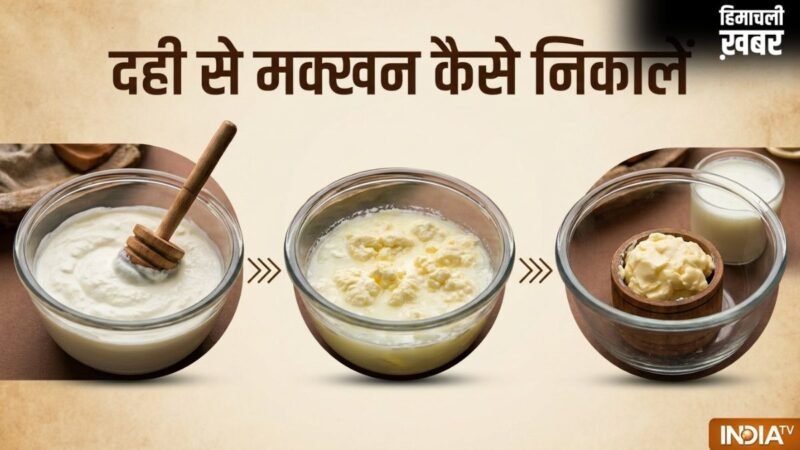 दही से मक्खन कैसे निकालें? बर्फ वाली ट्रिक से मिनटों में निकलेगा देसी Butter​