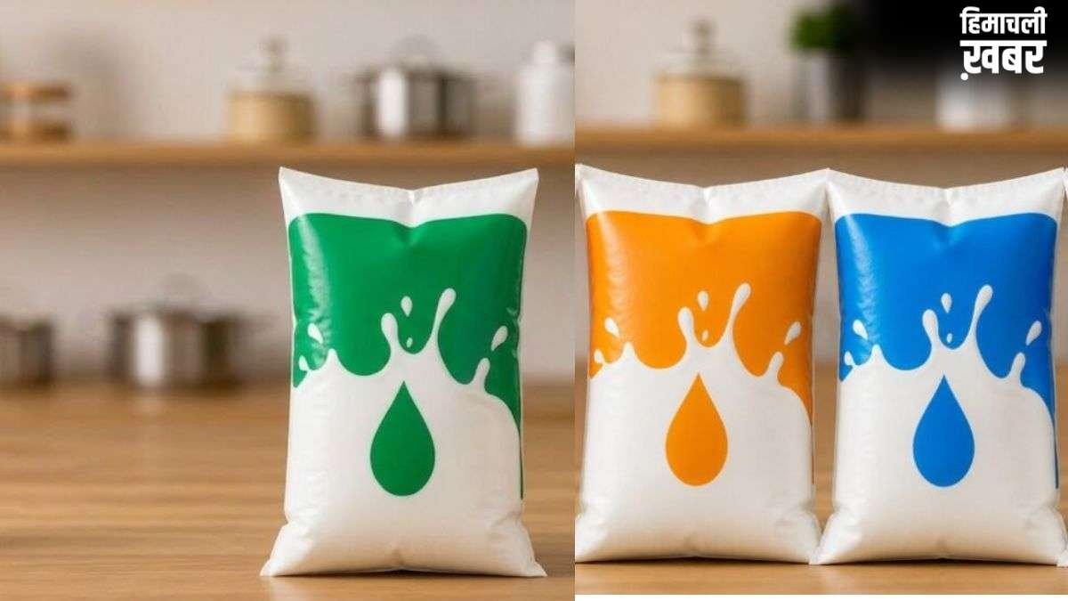 दूध के पैकेटों पर बने नीले, हरे और नारंगी रंगों का क्या मतलब होता है? कौन सा Milk है बेस्ट?​