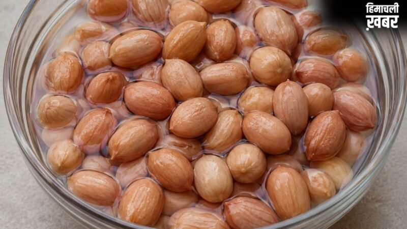 गर्मियों में मूंगफली को भिगोकर खाने से क्या क्या फायदे होते हैं?​