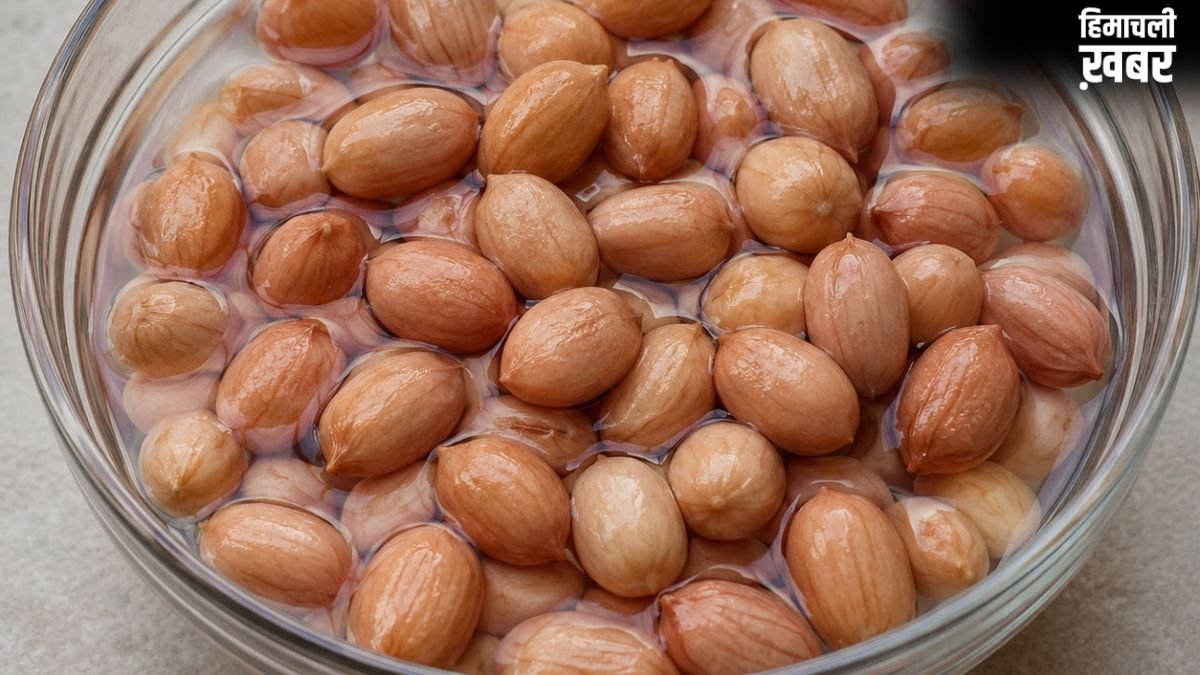 गर्मियों में मूंगफली को भिगोकर खाने से क्या क्या फायदे होते हैं?​