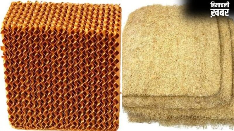 Cooler Tips: घास या हनीकॉम्ब पैड्स? आपके कूलर के लिए कौन सा कूलिंग पैड्स बेस्ट है?​