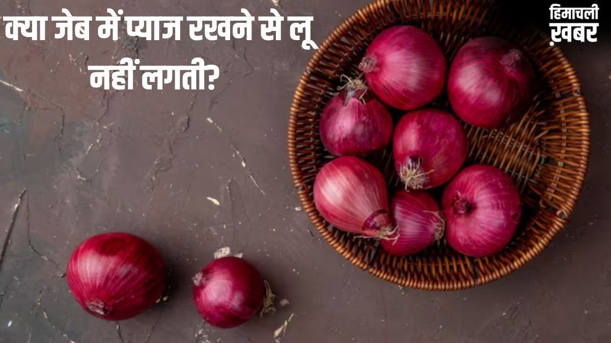 क्या जेब में प्याज रखने से लू नहीं लगती? जानें इसके पीछे की सच्चाई​