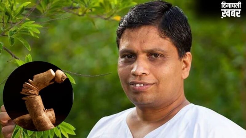 आचार्य बालकृष्ण ने बताया लटकी तोंद घटाने का आयुर्वेदिक तरीका, बस खाली पेट पीना शुरू कर दें इस जड़ का पानी​