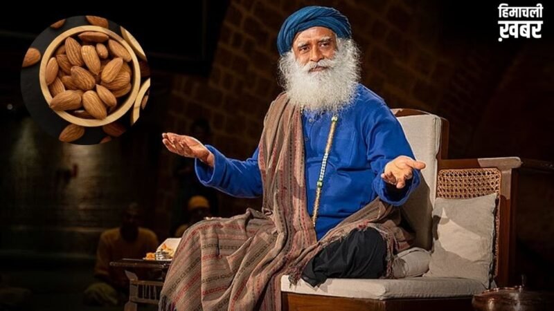 सद्गुरु ने बताया बादाम खाने का सही तरीका, इस तरह सेवन करने से मिलेगा भरपूर लाभ​