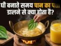 घी बनाते समय पान का पत्ता डालने से क्या होता है? जानें इस्तेमाल करने का सही तरीका​