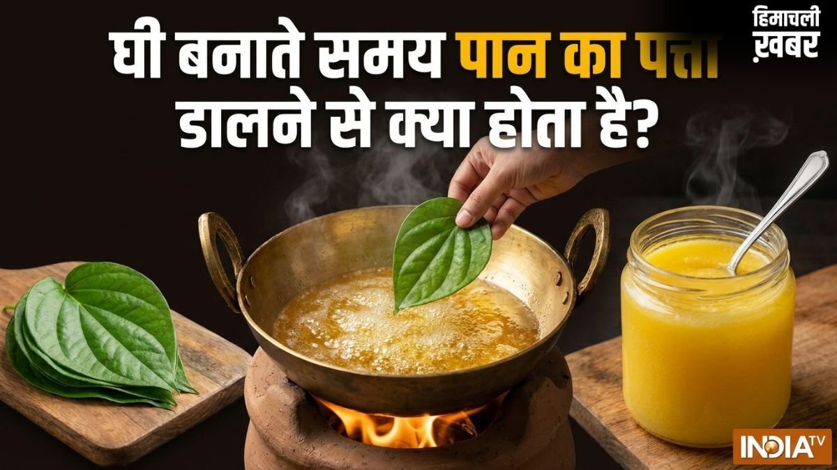 घी बनाते समय पान का पत्ता डालने से क्या होता है? जानें इस्तेमाल करने का सही तरीका​