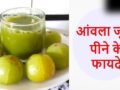 खाली पेट पिएं आंवला जूस, तेजी से कम होने लगेगा वजन, कम हो जाएगा कई बीमारियों का खतरा