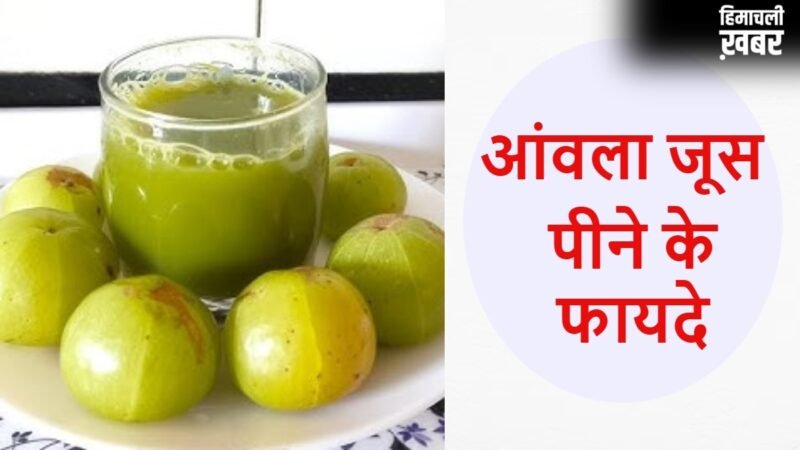 खाली पेट पिएं आंवला जूस, तेजी से कम होने लगेगा वजन, कम हो जाएगा कई बीमारियों का खतरा