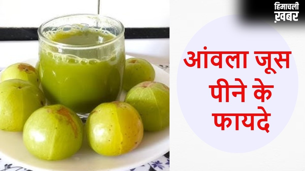 खाली पेट पिएं आंवला जूस, तेजी से कम होने लगेगा वजन, कम हो जाएगा कई बीमारियों का खतरा