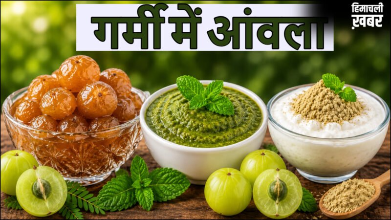 गर्मी में आंवला कैसे खाना चाहिए, जानिए इसे खाने से क्या फायदे मिलते हैं, कैसी होती है आंवला की तासीर​