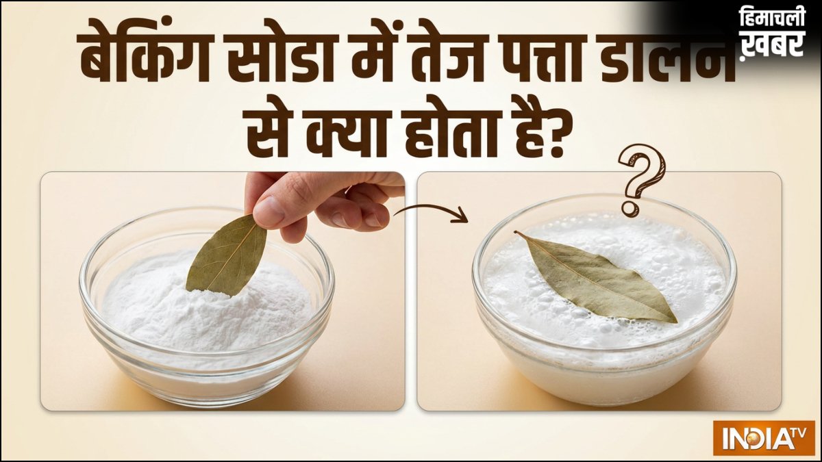 बेकिंग सोडा में तेज पत्ता डालकर क्यों रख रहे हैं लोग, जानिए इससे क्या फायदा होता है​