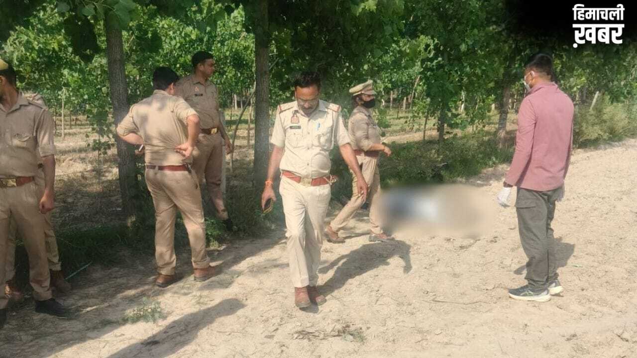चोट के निशान और खून से सना चेहरा…. बरेली में खेत में मिली छात्रा की लाश से दहशत