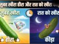 खीरा सुबह को हीरा, दोपहर को जीरा, रात को कीड़ा, जानिए ऐसा क्यों कहा जाता है