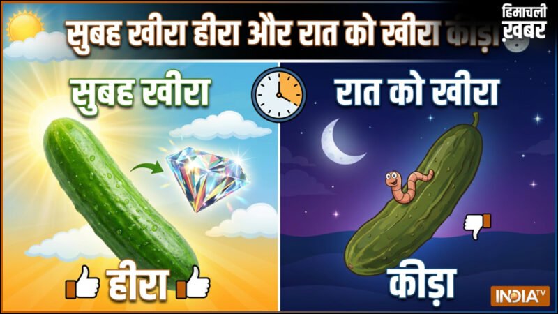 खीरा सुबह को हीरा, दोपहर को जीरा, रात को कीड़ा, जानिए ऐसा क्यों कहा जाता है​