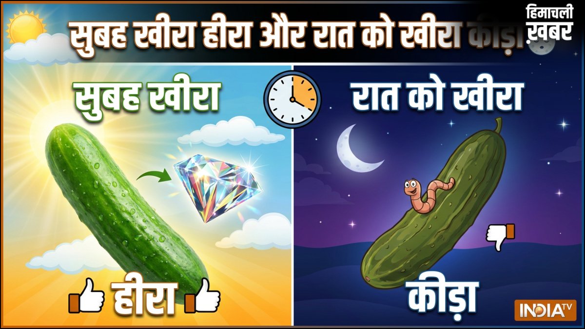 खीरा सुबह को हीरा, दोपहर को जीरा, रात को कीड़ा, जानिए ऐसा क्यों कहा जाता है