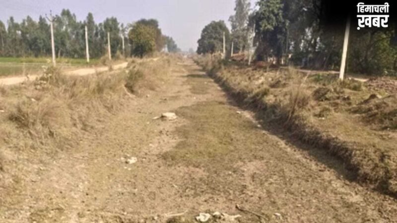 सूखी नहरों को लेकर बिजनौर में किसानों की चेतावनी, पानी नहीं पहुंचा तो करेंगे तालाबंदी​