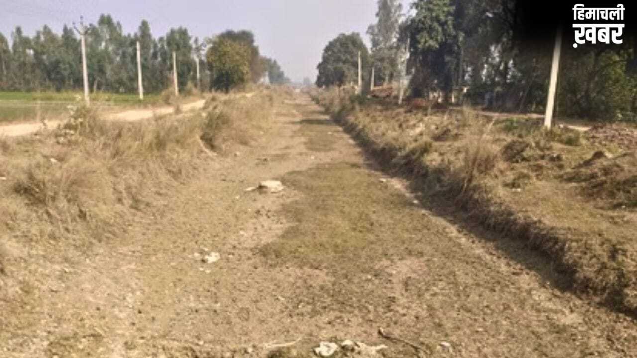 सूखी नहरों को लेकर बिजनौर में किसानों की चेतावनी, पानी नहीं पहुंचा तो करेंगे तालाबंदी