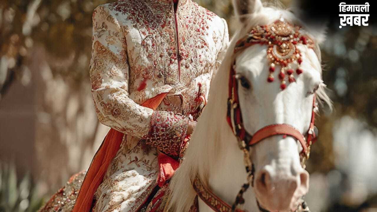 घोड़ी पर बैठे दूल्हे को पड़ा दौरा, दुल्हन बोली- क्यों छिपाई मिर्गी की बीमारी? शादी से कर दिया इनकार​