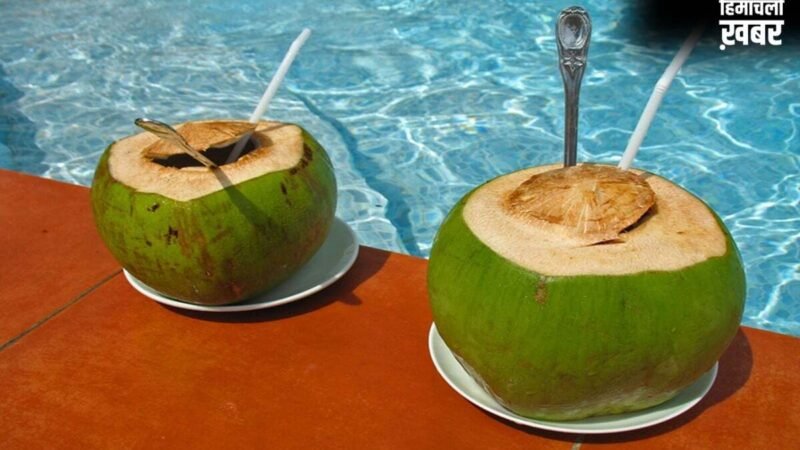 Summer Health Tip: पानी से लबालब नारियल कैसे चुनें? ये 5 'Golden Rules' आपको बचाएंगे​