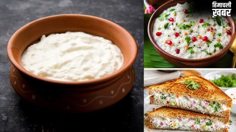 गर्मी में सब्जी-रोटी खाने का नहीं है मन, घर पर झटपट तैयार करें दही से ये 2 डिशेज​
