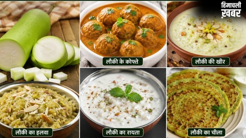 रोज की सब्जी से हटकर ट्राई करें लौकी से बनी ये 5 डिशेज, बोरिंग खाने में भी आ जाएगा स्वाद​