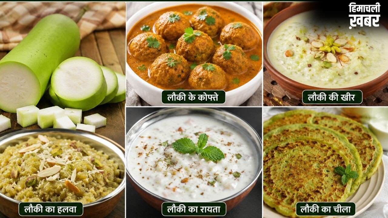 रोज की सब्जी से हटकर ट्राई करें लौकी से बनी ये 5 डिशेज, बोरिंग खाने में भी आ जाएगा स्वाद​